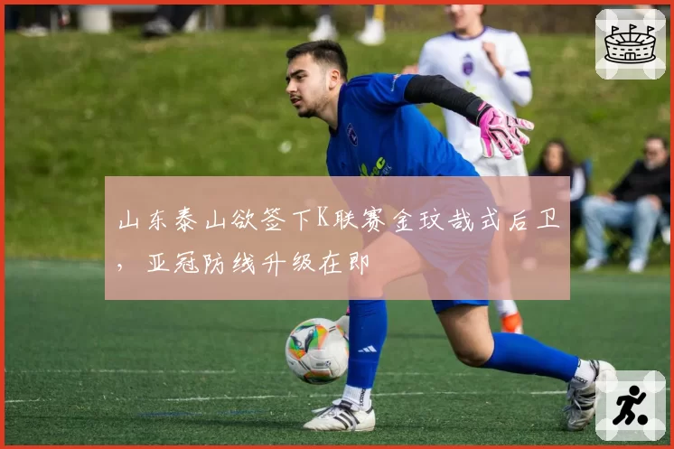 山东泰山欲签下K联赛金玟哉式后卫,亚冠防线升级在即