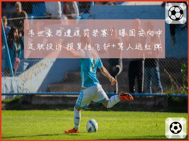 韦世豪恐遭追罚禁赛?曝国安向中足联投诉 报复性飞铲+骂人逃红牌